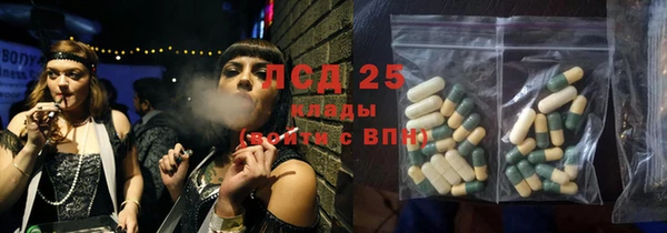 спиды Аркадак