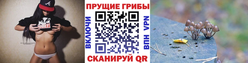 Галлюциногенные грибы Magic Shrooms  где купить наркоту  Приволжск 